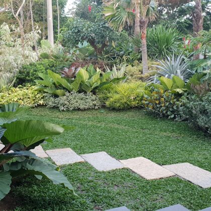 Modern Tropical garden design